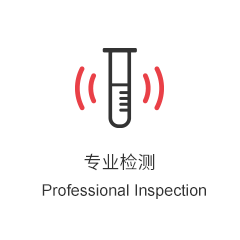 专业检测拷贝.png