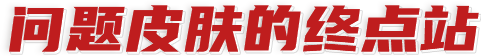 问题皮肤的终点站.png